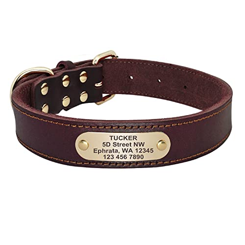 Personalisiertes Hundehalsband Leder Hundehalsband Benutzerdefinierte gravierte ID Name Haustierhalsband Anti-Verlust-Katze Hundehalsband Heimtierbedarf,Braun,m von YVDY