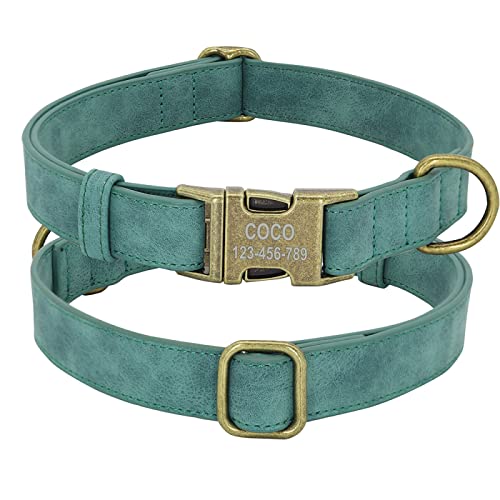 Personalisiertes ID-Hundehalsband mit Metallschnalle Ledergepolstertes Hundehalsband Personalisiertes Hundehalsband für kleine und mittelgroße Hunde, Green,L von YVDY