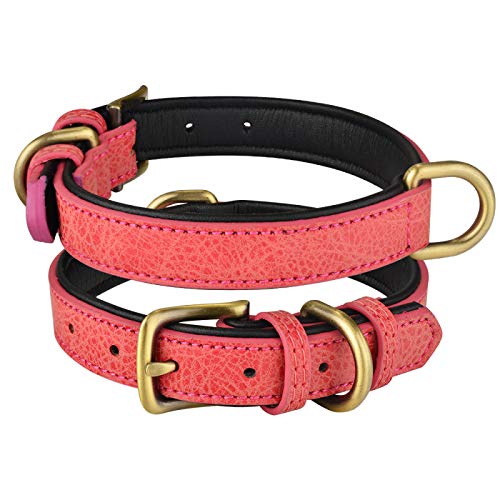 Verstellbares Hundehalsband Leder Hundehalsband Doppel-D-Ring Hundehalsband Personalisiertes Hundehalsband für kleine, mittlere und große Hunde,rot,L 37–47 cm von YVDY