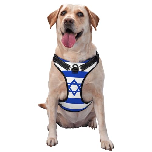 Premium-Hundegeschirr mit israelischer Flagge für kleine, mittelgroße und große Hunde, langlebig, kein Ziehen, mit reflektierenden Riemen und Schnellverschluss-Schnallen, Größe S von YVNKHKU