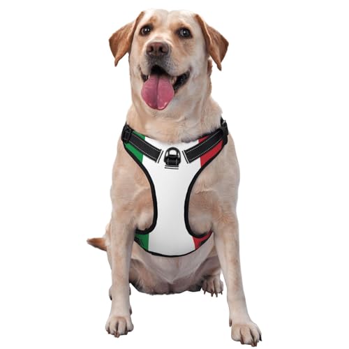 Premium-Hundegeschirr mit italienischer Flagge, für kleine, mittelgroße und große Hunde, langlebig, kein Ziehen, mit reflektierenden Riemen und Schnellverschluss-Schnallen, Größe L Premium-Hundegeschirr mit italienischer Flagge, für kleine, mittelgroße und große Hunde, langlebig, kein Ziehen, mit reflektierenden Riemen und Schnellverschluss-Schnallen, Größe L von YVNKHKU