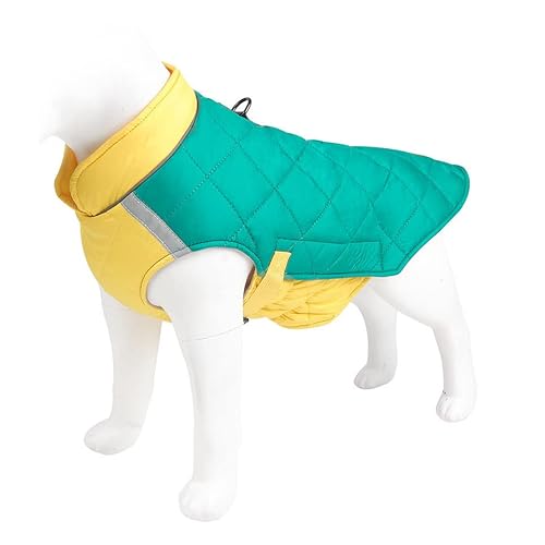 Haustier Hund Warm Mantel Jacke Hundemäntel für kleine mittelgroße Hunde Junge Mädchen gemütliche Hundejacken Mäntel Winterweste Haustier Winddicht Kaltwettermäntel kleine Hundemantel (Green, XXXXXL) von YWBleked