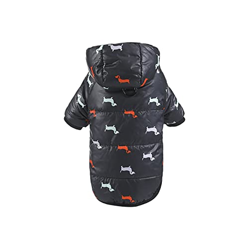 YWBleked Hunde Shirt Lustig Winter Teddy verdickte Baumwollkleidung Haustierkleidung kleine mittelgroße Hundekleidung Hundebaumwollkleidung Hundemantel Türkis (B, L) von YWBleked