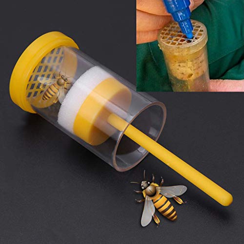 Bienenstock Kolben Imkerplastik Gelber Fänger Werkzeug Bienenmarkierflasche Farm Plastik Imkerei Zubehör Imker Geschenk (Yellow, 9.5x4.5x4.5cm) von YWJewly