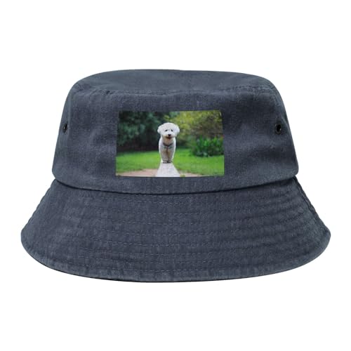 Bichon Frise Bokeh Haustiere Hunde Park Weiße Hunde, Erwachsene Bucket Hat Sonnenhut Fischerhut Läufermütze Fischerhüte von YWSOTRE