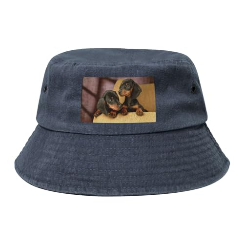 Dackelwelpen, Haustiere, Hunde, Kleiner Dackel, Erwachsene Bucket Hat Sonnenhut Fischerhut Läufermütze Fischerhüte von YWSOTRE