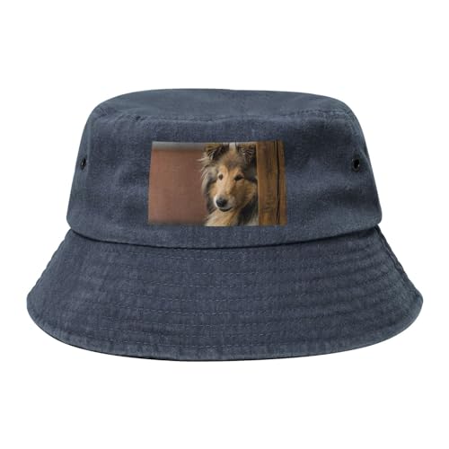 Langhaarcollie, Lassie-Hunde, große, Flauschige Hunde, Haustiere, Erwachsene Bucket Hat Sonnenhut Fischerhut Läufermütze Fischerhüte von YWSOTRE