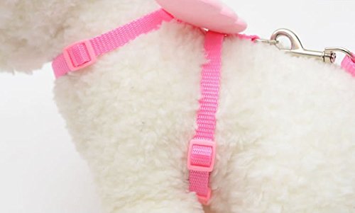 Blinkende Hundeleine Wing Dog Cute and Leads Adjustable Designer Collars Set Pet Pet for Small Angel Pet Others Kunststoff Schleppleine (,Pink-2, XS) von YWSTYllelty