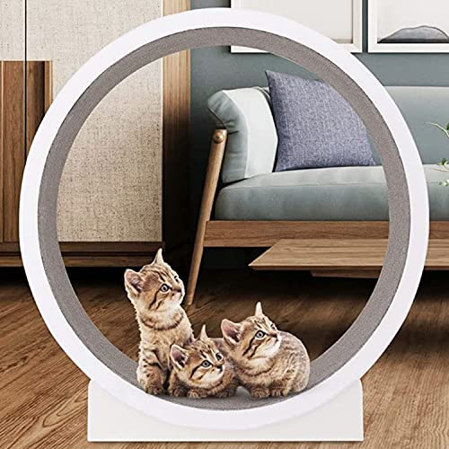 Katzen-Laufband, ideal für Gewichtsverlust und Spaß beim Spielen – Drehen, Kratzen und Klettern – ideal für alle Katzen – niedliche Katzenmöbel und Spielzeug – Riesenrad-Design. von YXBDD