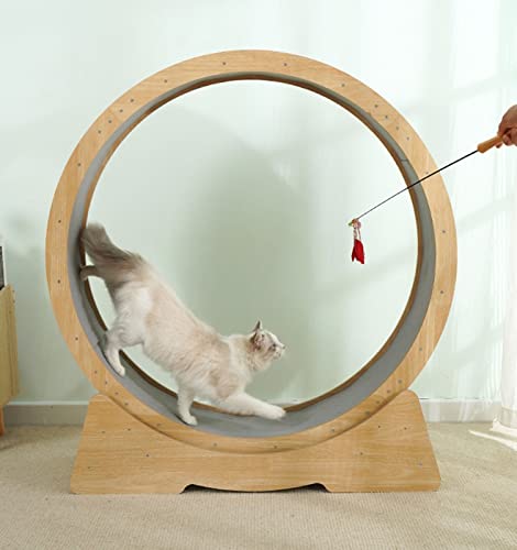 Katzen-Trainingsrad für Indoor-Katzen, Innendurchmesser 107 cm, große Katzen-Laufräder, einfach montiertes Katzen-Laufband mit Verriegelungsmechanismus, ultra-leises Laufen für die Gesundheit der Katze von YXBDD