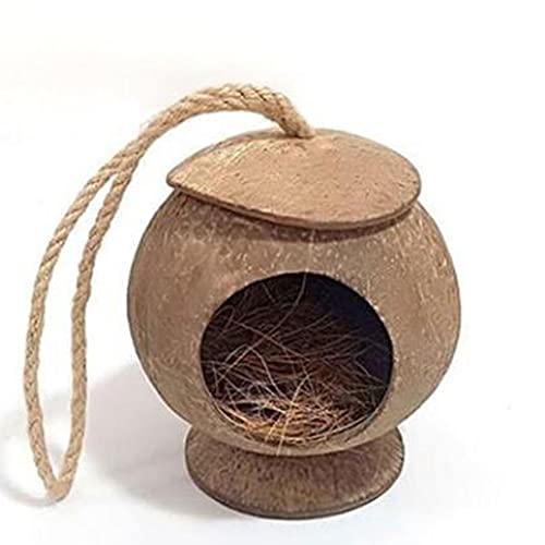 Kokosnussschale Birdhouse kann Outdoor Birdhouse mit Leiter aufhängen Gartenbalkon (Größe: 10 cm, Material: Kokosnussschale) (Color : Models with Base) von YYDS