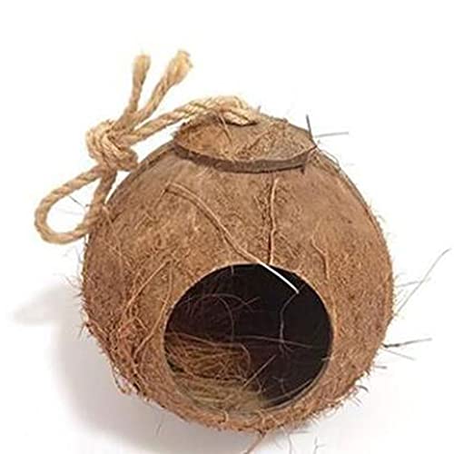 Kokosnussschale Birdhouse kann Outdoor Birdhouse mit Leiter aufhängen Gartenbalkon (Größe: 10 cm, Material: Kokosnussschale) (Color : Ordinary Models) von YYDS