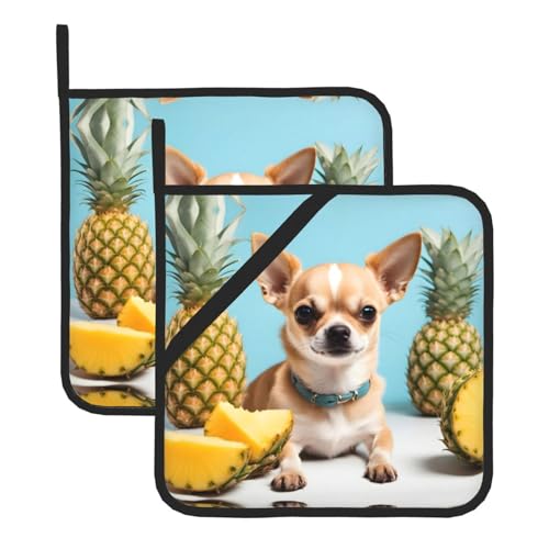 YYHHAOFA Chihuahua-Hund, Ananas-Muster, quadratisch, isoliert, 2 Stück, hitzebeständige Küchenmatten, Verbrühungsschutz und Wärmeisolierung, 20,3 x 20,3 cm von YYHHAOFA