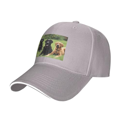 YYHWHJDE Unisex-Baseballkappe mit Labrador-Retriever-Hundemuster, schwarz: atmungsaktiv, leicht, Grau, Einheitsgröße von YYHWHJDE