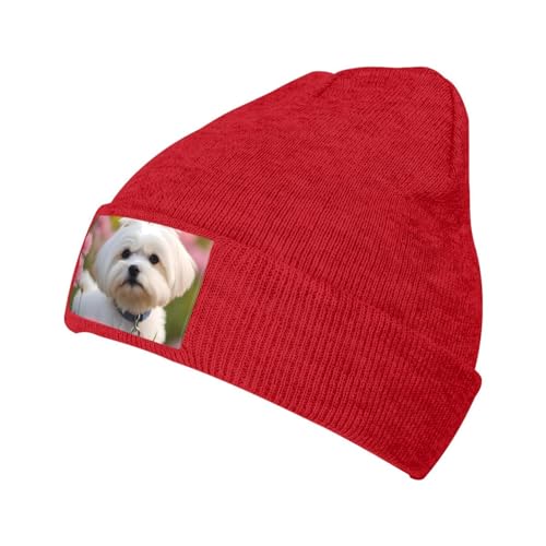 YYHWHJDE Warme Strickmütze, schönes Malteser-Hundemuster, weich, gute Elastizität, geeignet für den täglichen und Outdoor-Sport, Rot, Einheitsgröße von YYHWHJDE