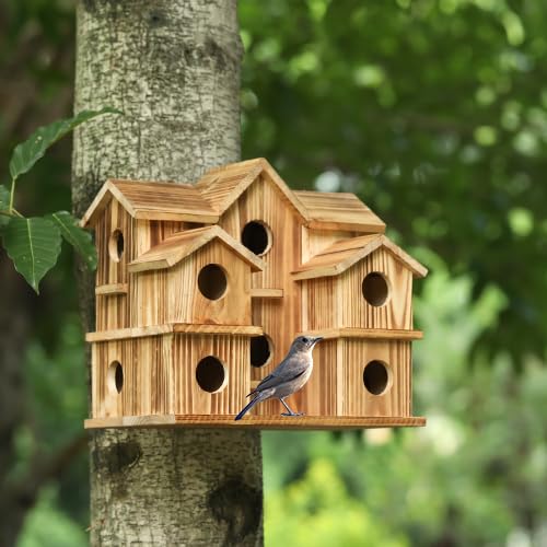 Vogelhäuser für Draußen 10 Loch Vogelhaus Zimmer für 10 Vogelfamilien Großes Vogelhaus für Garten/Hof/Hinterhof Dekor Fink Bluebird Cardinals Handmade Kolibrihaus von YYYUAN