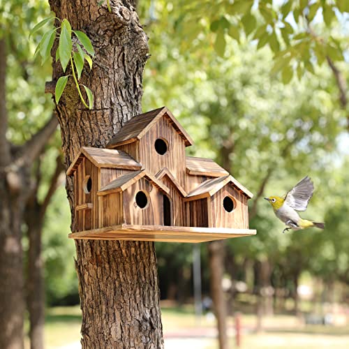 Vogelhaus, Vogelhäuser für den Außenbereich, Vogelhaus für draußen, Platz für 6 Vogelfamilien, großes Vogelhaus für Garten/Innenhof/Hinterhof, handgefertigtes Kolibrihaus von YYYUAN