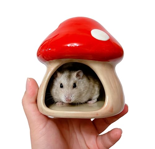 YZHZOM Keramik-Hamster-Versteck für Kleintiere, Häuser und Lebensräume für Hamster, Mäuse, Rennmäuse, Lemmings oder andere Kleintier-Hamster-Zubehör von YZHZOM