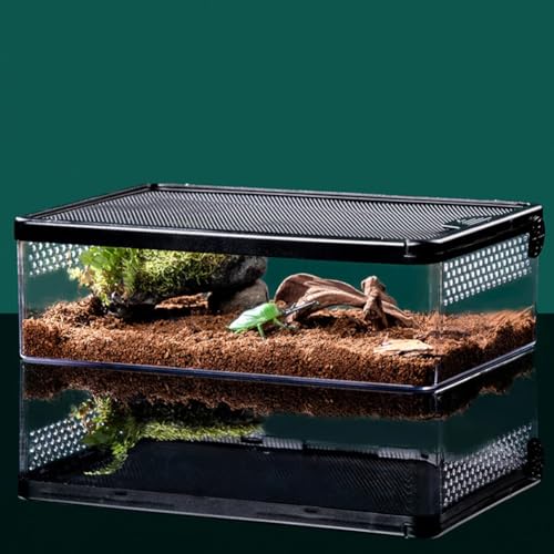 YZHZOM Mini Terrarium, Magnetisches Acryl heimchenbox, Reptile Fütterungsbox für Schlange Geckos Froschechsen Chamäleons Schlange Skorpion Schnecke Insekt Einsiedlerkrebs Isopoden (32x22x10cm) von YZHZOM