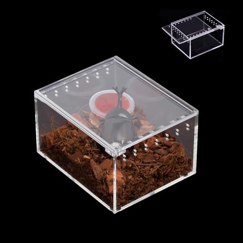 YZHZOM Mini Terrarium, Magnetisches Acryl heimchenbox, wasserdichtes Acrylgehäuse Reptile Fütterungsbox für Spide, Skorpion, Gehörnte Frösche, Haustierschlangen (10x8.5x6cm) von YZHZOM