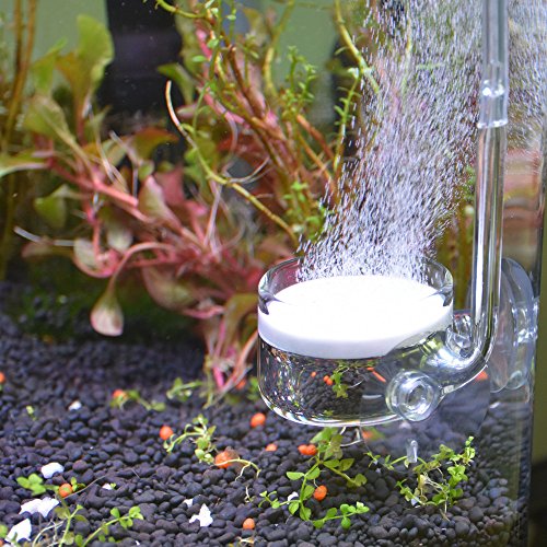 Yagote CO2 Glas Aquarium Zubehör Zubehör CO2-Diffusor CO2 Drop Checker CO2 Bubble Counter Wasserpflanzenhalter Planaria Wurm Leech Trapper für Aquarium bepflanzten Tank, CO2 Diffuser-1.6inch von Yagote