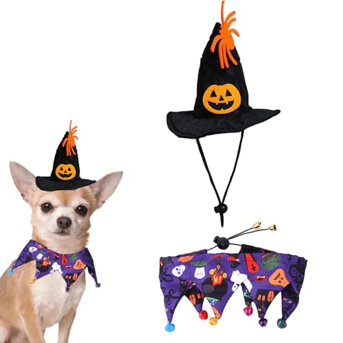 Yajexun Hundehexenkostüm | Glockenspinne Kürbis Halloween Katzenmütze und Schal Kostü,Verstellbares, bequemes Haustierkostü für Katzen und Hunde, Halloween-Partygeschenke von Yajexun