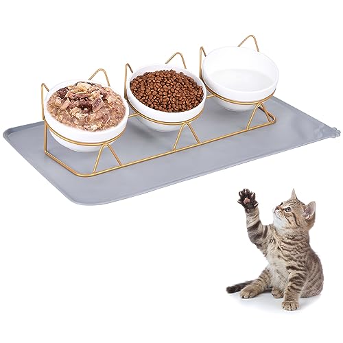 Yamitora Katzen Napfset 3er Set,Erhöhter Futternapf Katze mit Unterlage Katzennapf Hund Futter und Wassernapf Futterstation Ergonomischer Katzenfutter Schüssel Keramik Trink und Fressnapf(Gold) von Yamitora