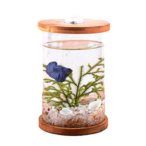 Tisch-Fischtank, entspannendes Aquarium, Aquarium, klein, Deko-Kit für Büro, Wohnzimmer, ohne Fisch von Yamyidar