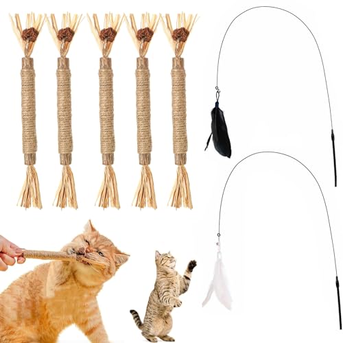 YanBous 5er Set Katzenkausticks & 2 Spielangeln - Zahnpflege & Spaß, Natürliche Zahnreinigungsstäbchen gegen Mundgeruch, Interaktives Spielzeug, fördert die Gesundheit der Katze von YanBous