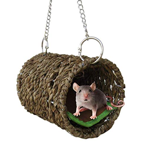 Hängematte Spieltunnel Hängende Bett Spielzeug, Natürliches Seegras Hängematte Spieltunnel Hängende Bett Spielzeughaus für Haustier Ratte Hamster Hängematte Spieltunnel Hängende Bett Spielzeug, Natürliches Seegras Hängematte Spieltunnel Hängende Bett Spielzeughaus für Haustier Ratte Hamster von YangHaoDiSY