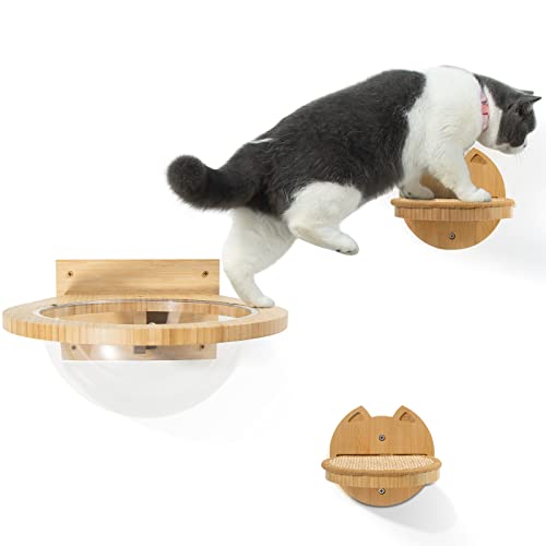 Yangbaga Kletterwand für Katzen, Wandliege Holz Katzenliege mit 2ST Katzentreppe, Katzenbett Wandmöbel, Transparent Katzenhaus Set, Katzen Korb, Spielzeug für Innen Große Katzen von Yangbaga