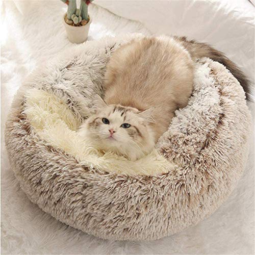 Haustier-Zelt Höhle Bett für Katzen Welpen, flauschig warmes Katzen-Schlafkissen, Indoor-Katzenbett, rutschfest, maschinenwaschbar, M-50 cm von Yanman