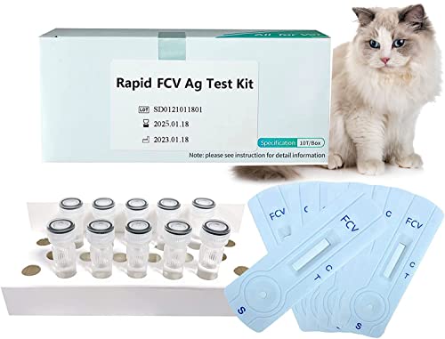 Yanzeo 10Pack FCV Testkit Katzenstaupe-Erkennungskarte Cat Home Health Detection Test Tool von Yanzeo