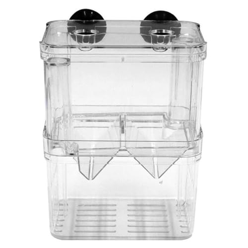 Fischzüchtungsbox Aquarium Inkubator Fry Beilery Isolation Box Fisch Eltern Behälterteiler mit Saugbechern Doppelschichten Acryl transparent L, Fischzuchtschachtel von Yaoliucp