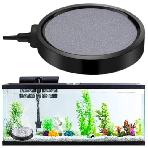 Luftstein für Aquarienfischtank, 4,1 Zoll Stummschande Aquariumluftstein mit dichtem Blasen, Fischtankluftsteinblasendiffusor für Hydrokroponik, kleine professionelle Aquarien, Fischgeschäfte von Yaoliucp