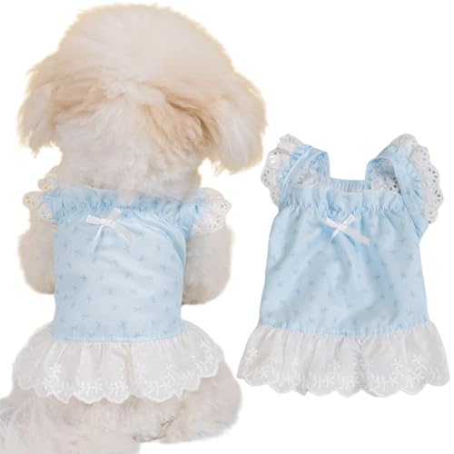 Haustier-Hundekleid, Größe XS, Blumendruck, Sommerkleidung, Rüschenbesatz, Welpen-Shirts für kleine Hunde, Blau und Rosa, 2er-Pack (Blau, XL (5,5–7,5 kg)) von Yaopelky