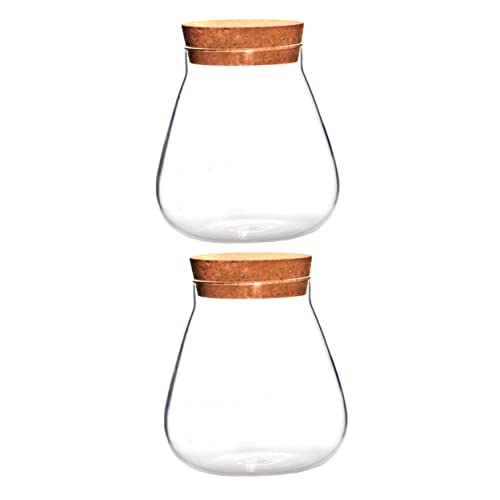 Yardenfun 2St Flasche aus Korkglas Sukkulenten Terrarium klar Ökologische Flasche mit Algenkugel aufbewahrungs gläser kaminregal Flur Blumentöpfe Anlage Verschlussglas aus Glas Glasvase Holz von Yardenfun