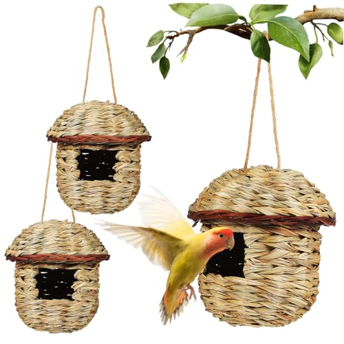 Yardenfun 3st Vogelnest Papageienhaus Sittich Nest Jaula para Pajaros Periquitos Vogel Schlafende Hütte Vogelhaus Aus Stroh Vogelhütte Aus Naturfaser Vogelbett Strohmaisschalen Light Green von Yardenfun