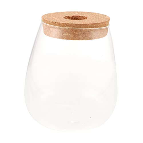 Yardenfun Flasche Lassen Indoor Plants zimmerpflanzen blumtöpfe hydroponische Pflanzen Terrarium mit runder Schale Anlage hydroponisches Pflanzenterrarium Mikrolandschaftsflasche Holz von Yardenfun