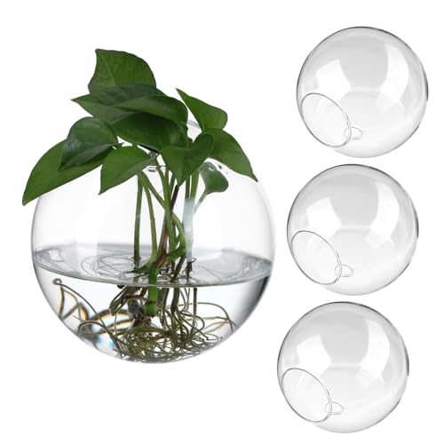 Yardenfun Vase 4 Stück Glasvase Hydroponische Blumenflasche Hydrokultur-pflanzenvase Luftpflanzenterrarium Tischpflanzenterrarium Wandpflanzenterrarium Vermehrungsterrarium Drinnen Erde von Yardenfun