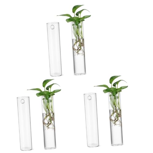 6 STK Wandvase Wandpflanzer Wandmontage zimmerpflanzen Vermehrung für Pflanzen Pflanzenwanddekoration blumenvasen unterteller blumentopf Wanddekorationen hängendes Terrarium Glas Yardwe von Yardwe