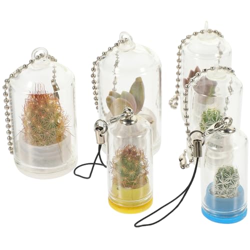 6st Schlüsselanhänger Mini-pflanzenhalter Groß Klarer Behälter Vasen Eingetopft Zwiebelvase Hydrokulturvase Container Hängendes Terrarium Pflanzenschmuck Bausatz Inhaber Glas Yardwe von Yardwe