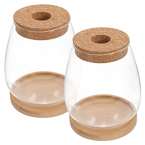 Yardwe 1 Satz Mikrolandschaftsblume innerspace büroradio Decoration pflanzuntersetzter bürolocher Flasche Moospflanze Pflanzen Flasche Moos Landschaft Container transparente Flasche Holz von Yardwe