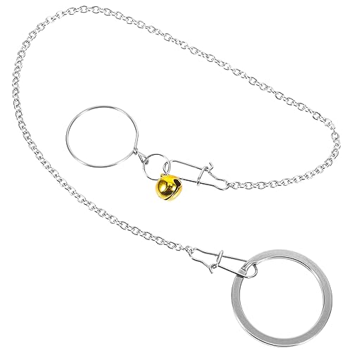 Yardwe 1 Satz Vogelhalsband Hirse Futterspender Käfig Träger Kragen Papageienhalsband Papageienhalskette Zugkette für Vögel Edelstahlkette Sittichleine Vogelkette Rostfreier Stahl Silver von Yardwe