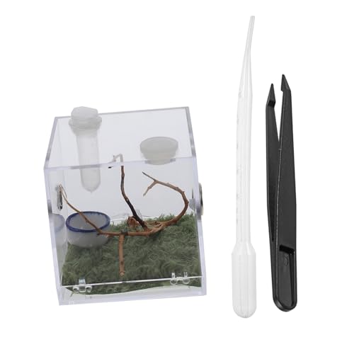 Yardwe 1 Set Springspinne Zuchtbox Vogelspinne Terrarium Stabheuschrecke Schildkröte Tank Insektengehege Tank Schlangenkäfig Springspinne Lebensraum Mini Luftbefeuchter Tier von Yardwe