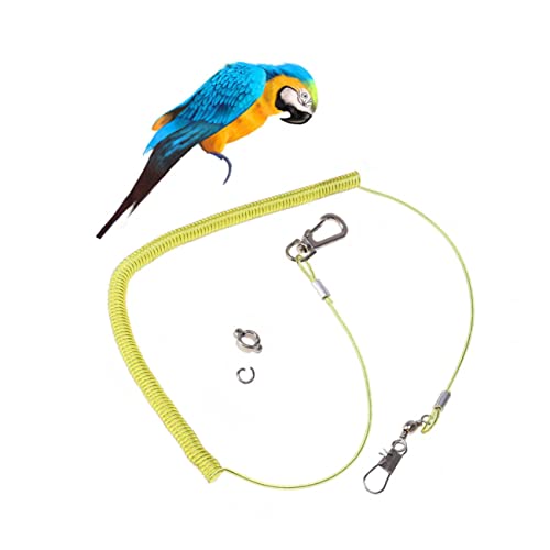 Yardwe Papagei Fliegen 1pc Vogel Leine Ausbildung Seil Elastische String Haustier Papagei von Yardwe