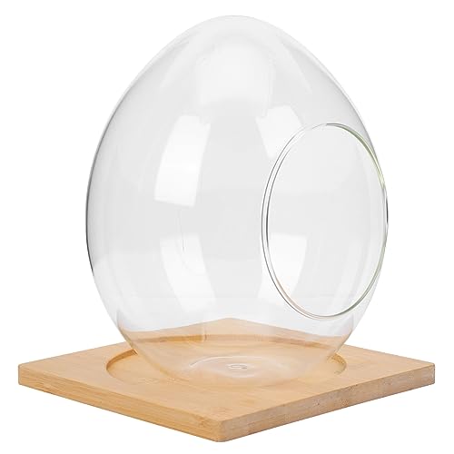 Yardwe 2 Sätze Eiförmige Glasflasche Kugelpflanzer Terrarium Terrarienschalen Aus Glas Blumentöpfe Aus Glas Hängende Blumentöpfe Im Innenbereich Schräge Vase Eierbehälter Holz Moos Kaktus von Yardwe