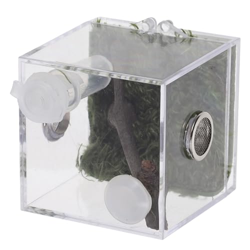 Yardwe 2Er-Box Springspinnen-Zuchtbox Zuchtbehälter Lebensraum Fall Vogelspinnengehege Reptil acrylbehälter glasgefäß luftbefeuchter Sprungspinnengehege transparenter Springspinnenkäfig von Yardwe