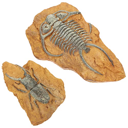 Yardwe 2Er-Box simuliertes Harzfossil Reptilien-Terrarium-Dekoration Eidechsenspielzeug für Kinder Reptile Decor Terrarium Decor kreative Terrariendekorationen Schlangen-Reptilien-Dekore von Yardwe