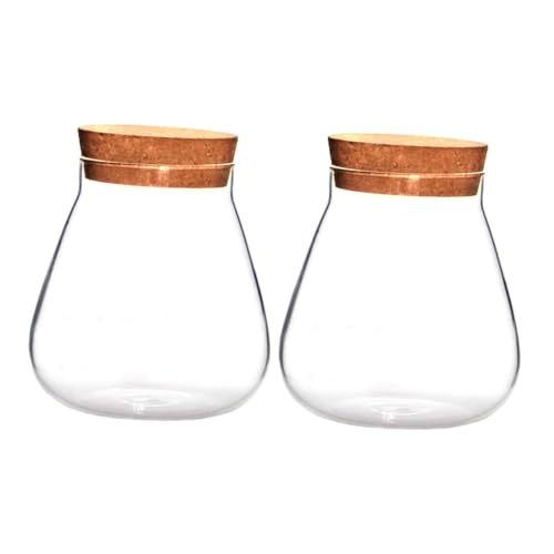 Yardwe 2St Flasche aus Korkglas Klare Vasen mit Deckel zur Dekoration Mikrolandschaft Terrarium aufbewahrungs gläser kaminregal Aufbewahrungstopf Kanister mit Glasverschluss Holz Brown von Yardwe